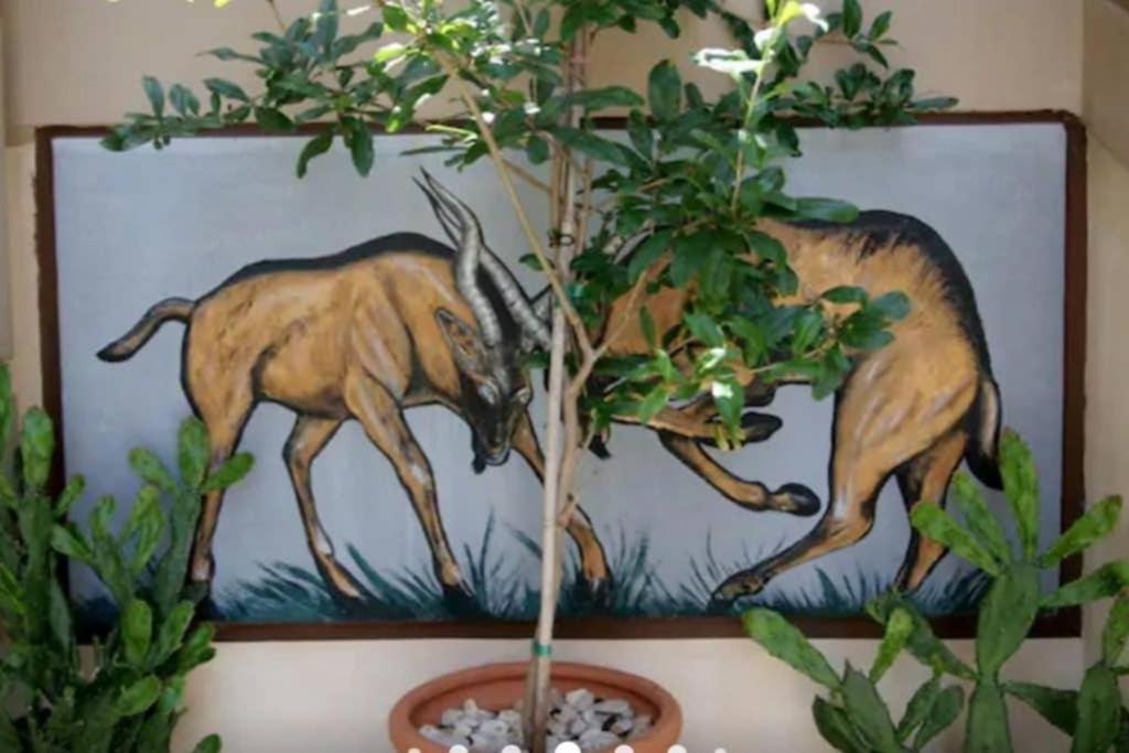 Apartment With Premium Facilities ハニア エクステリア 写真